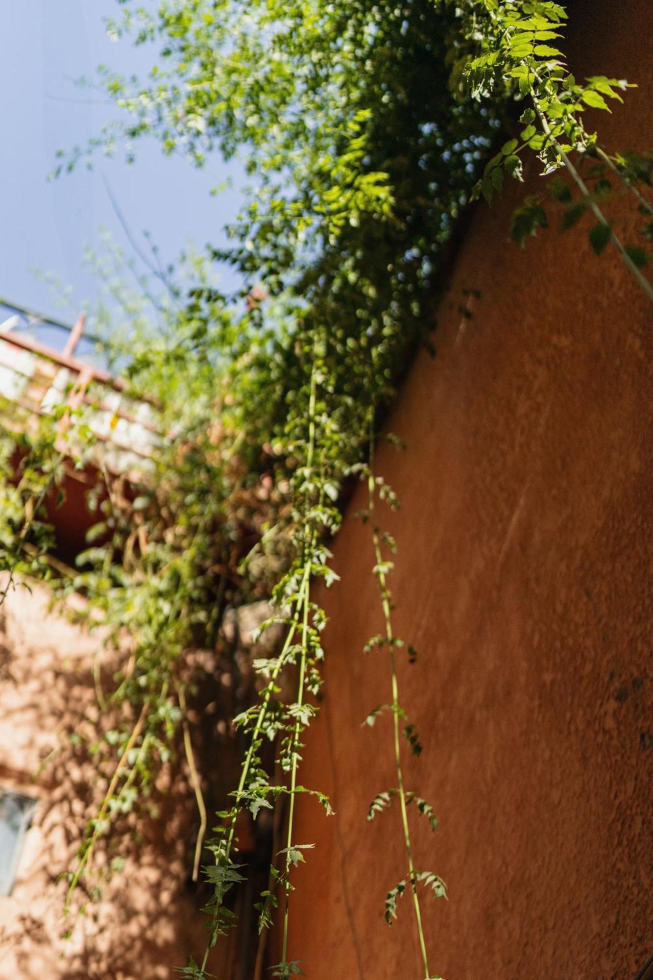 Riad Senja มาร์ราเกช ภายนอก รูปภาพ